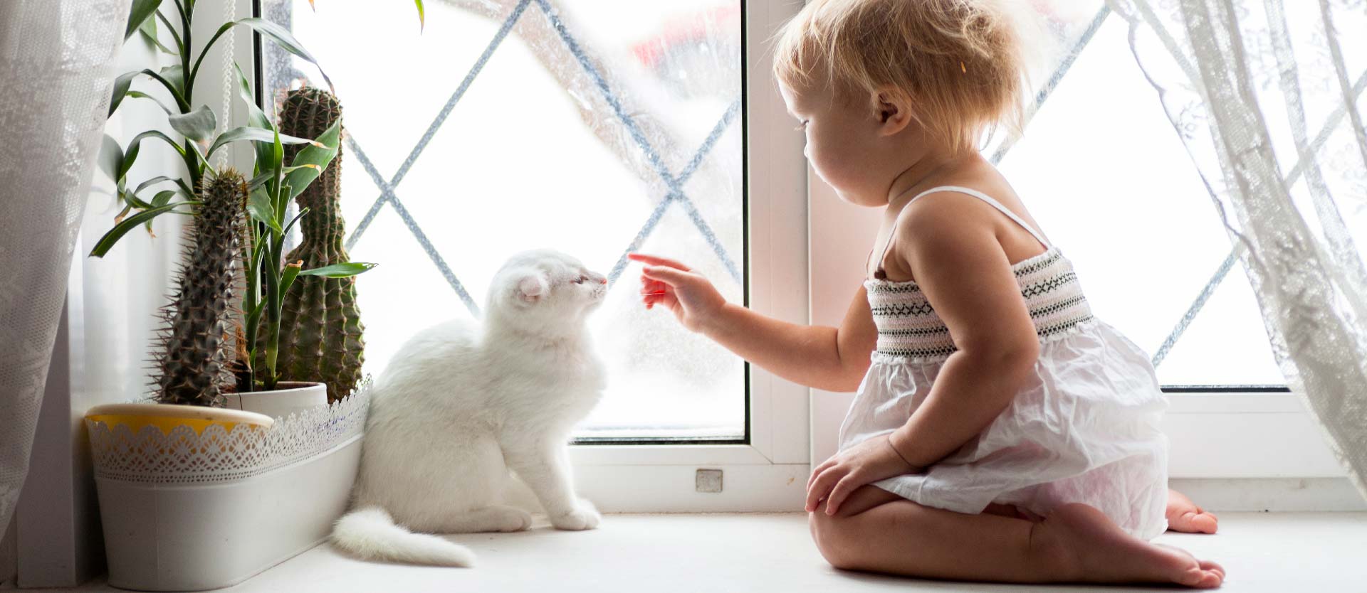 Baby playing with a cat on a window ledge